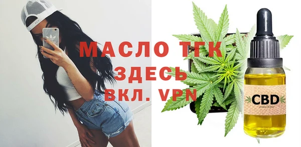 стаф Пересвет