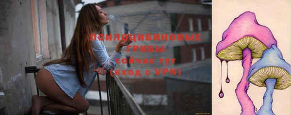 гидра Аркадак