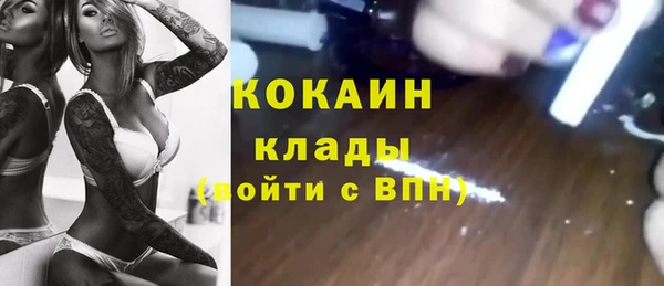 стаф Пересвет