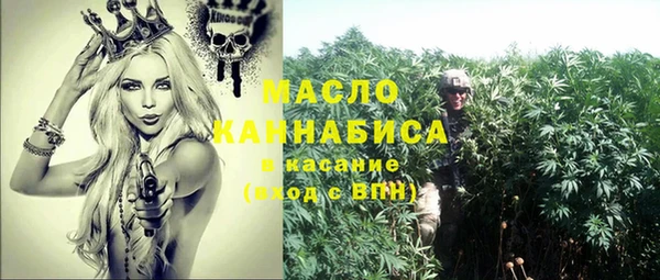 стаф Пересвет