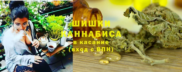 стаф Пересвет