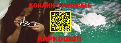 крисы Бийск