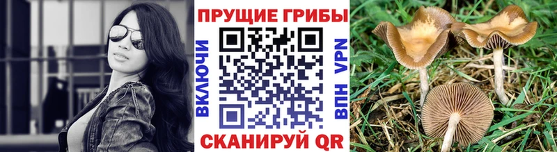 Псилоцибиновые грибы Magic Shrooms Балаково