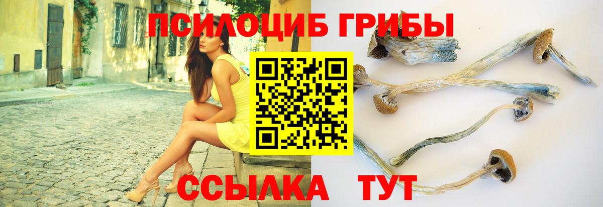 сколько стоит  Балаково  Галлюциногенные грибы Psilocybine cubensis  Псилоцибиновые грибы мухоморы 