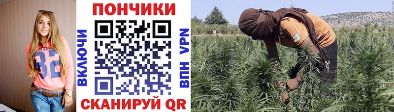 Каннабис THC 21%  где купить   Балаково 